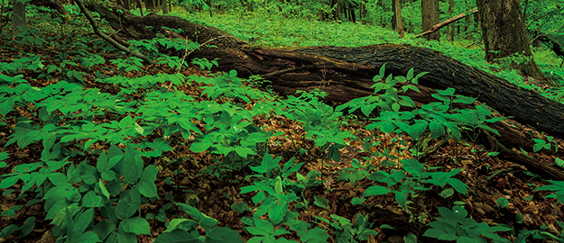 環境・品質方針