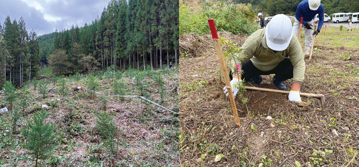 岡山県での植林活動