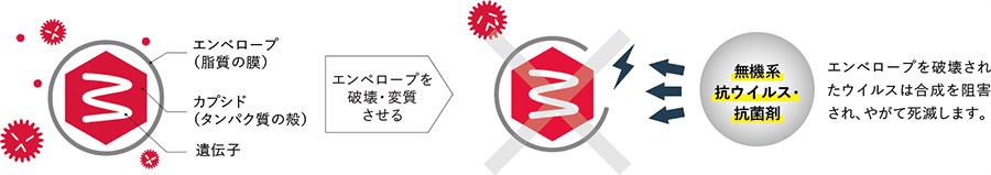 ウイルスA（エンベロープあり）